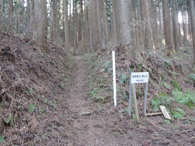 DSCN0681.JPG