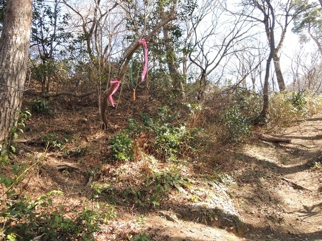 DSCN0686.JPG