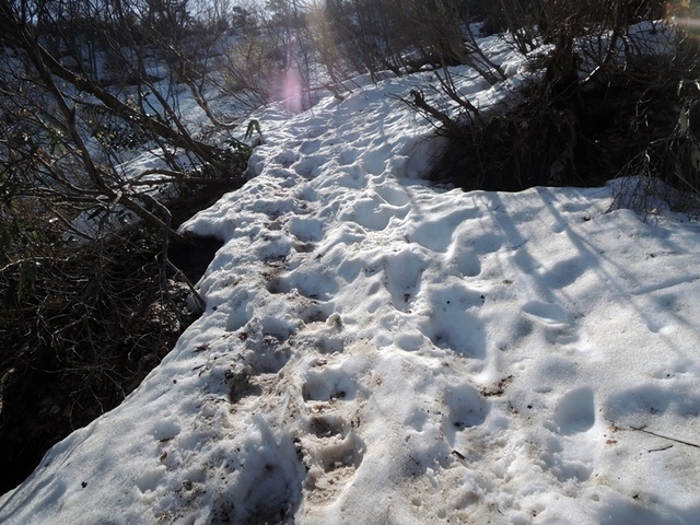 DSCN0688.JPG