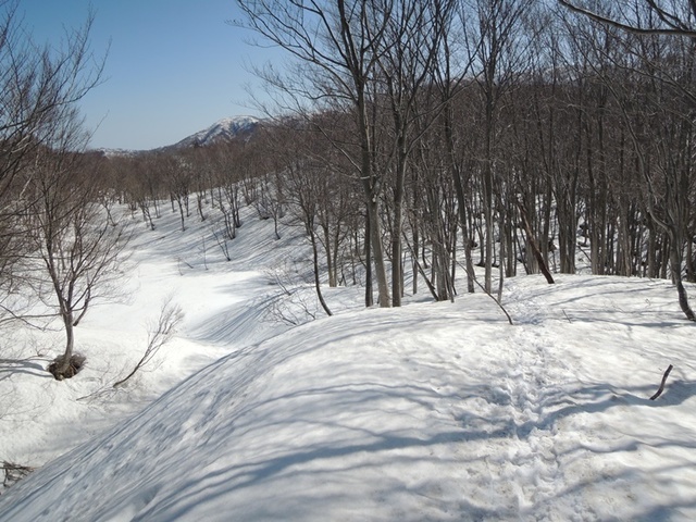 DSCN0702.JPG