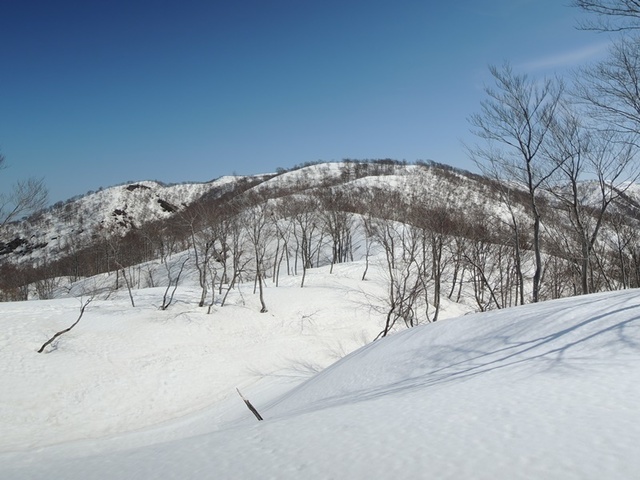 DSCN0722.JPG