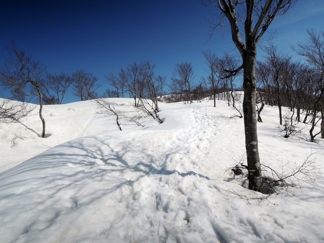 DSCN0723.JPG