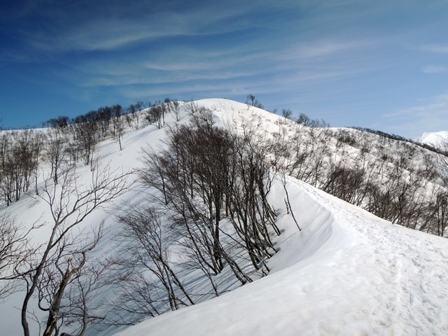 DSCN0726.JPG