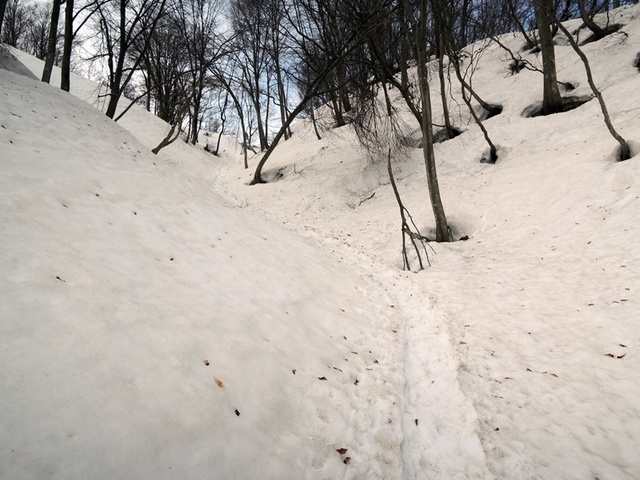 DSCN0751.JPG