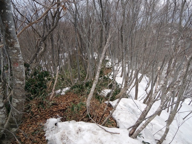 DSCN0755.JPG
