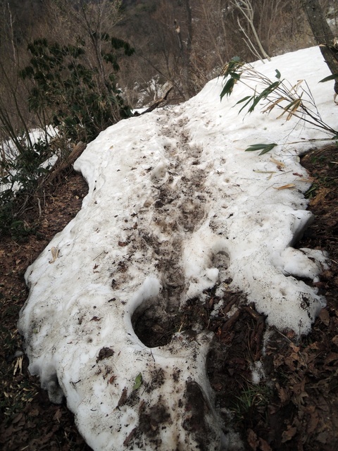 DSCN0761.JPG
