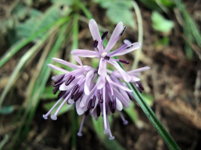 DSCN0762.JPG