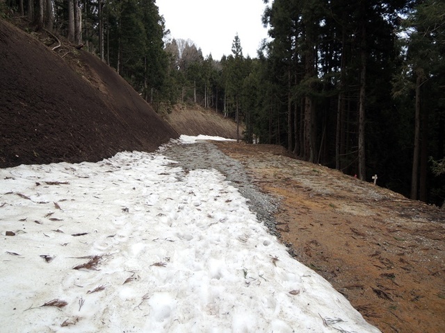 DSCN0765.JPG