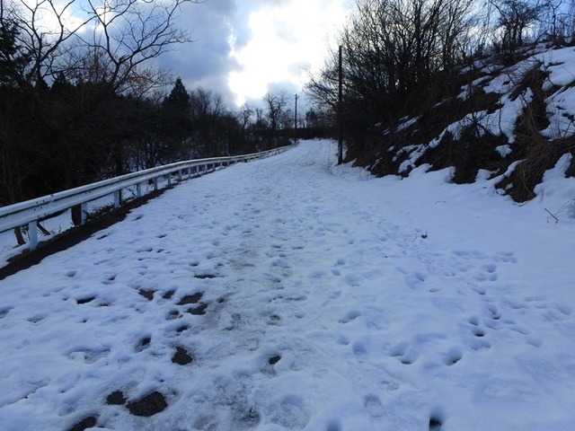 P1050406.JPG