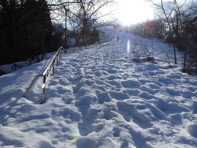 P1050410.JPG