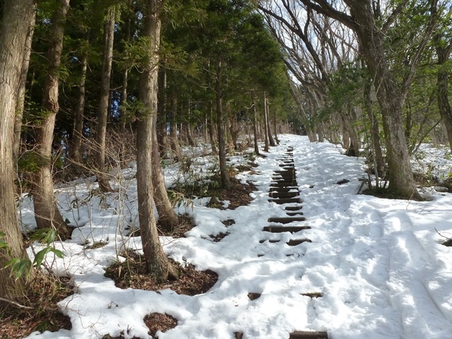 P1050414.JPG