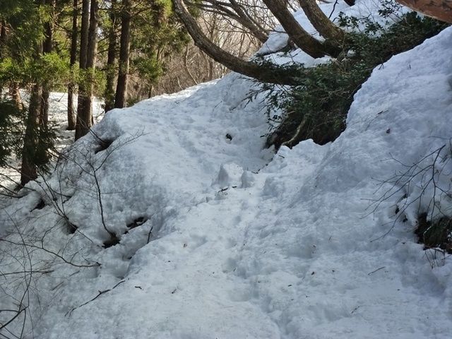 P1050415.JPG