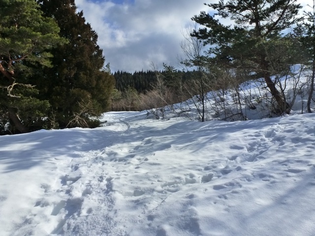 P1050416.JPG
