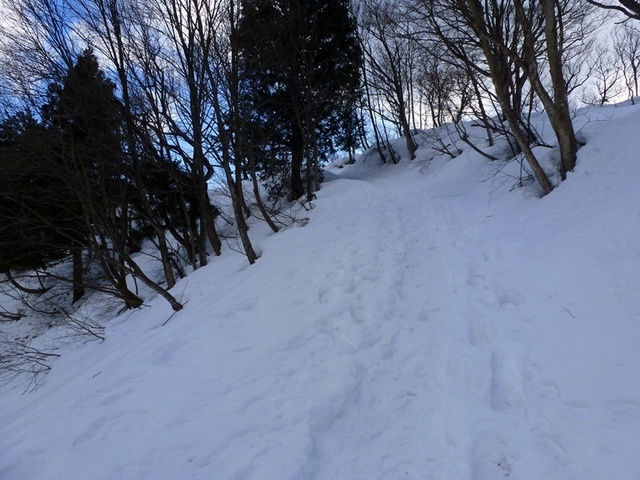 P1050421.JPG