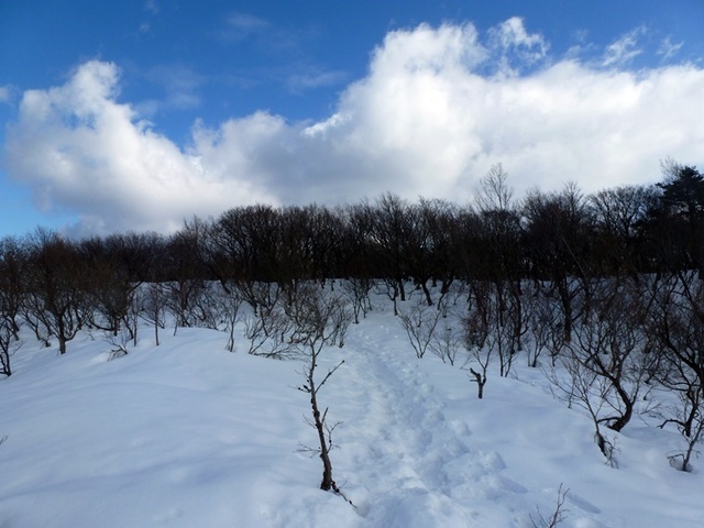 P1050425.JPG