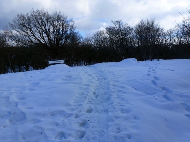 P1050428.JPG
