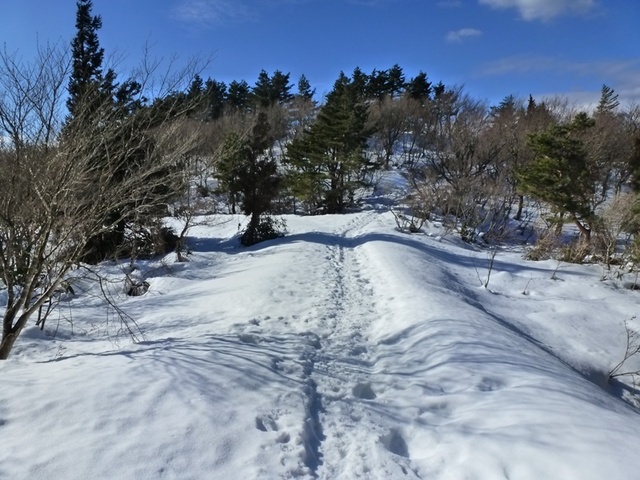 P1050433.JPG