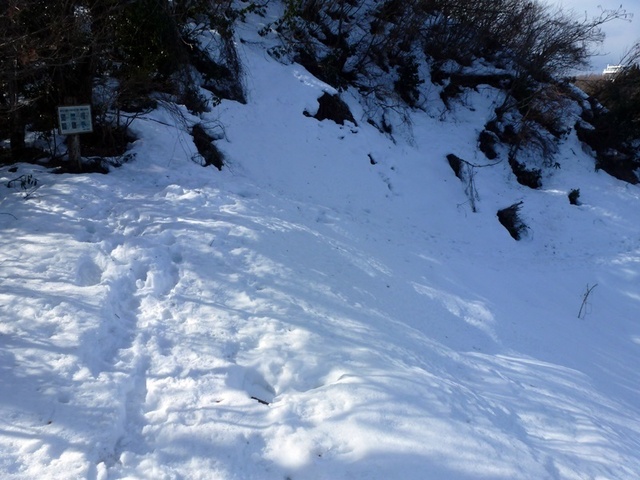 P1050434.JPG