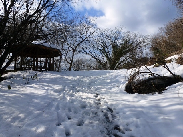 P1050435.JPG