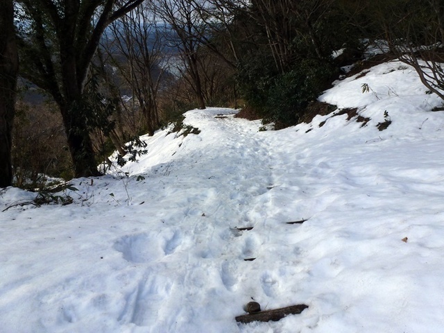 P1050436.JPG