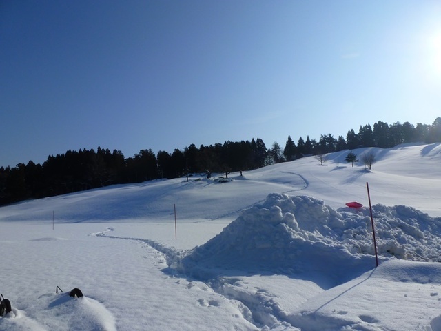 P1050443.JPG