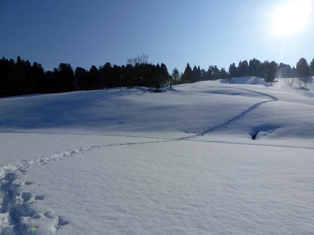 P1050445.JPG