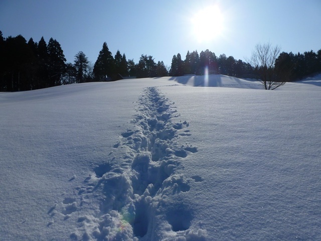 P1050446.JPG
