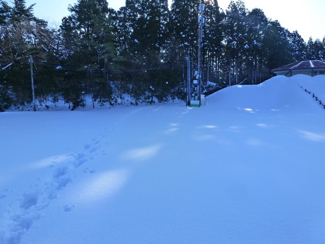 P1050449.JPG