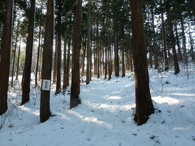 P1050451.JPG
