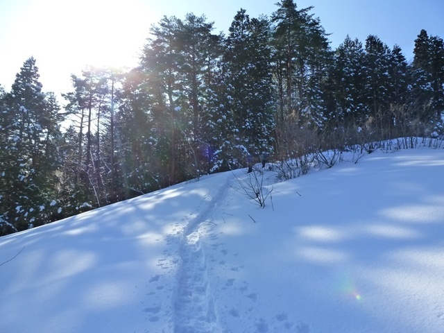 P1050456.JPG