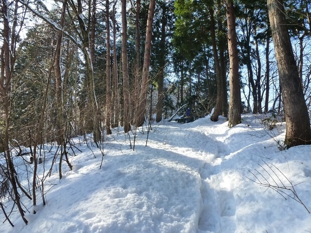 P1050458.JPG