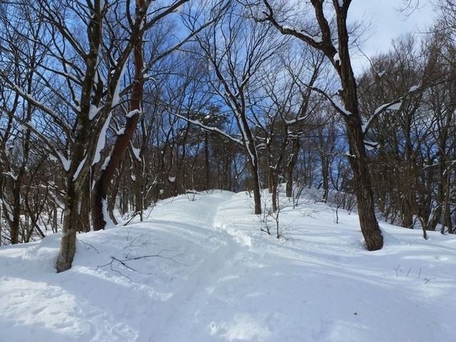 P1050465.JPG