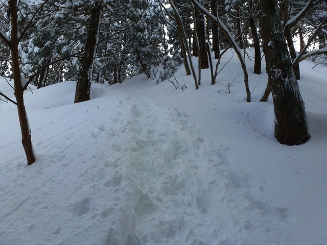 P1050468.JPG