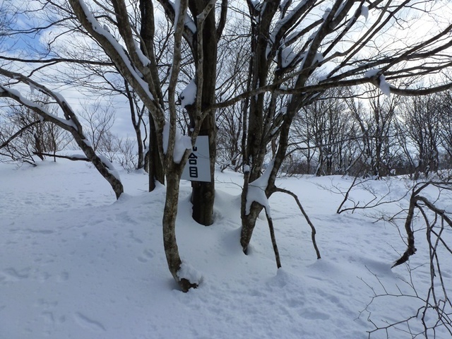 P1050469.JPG