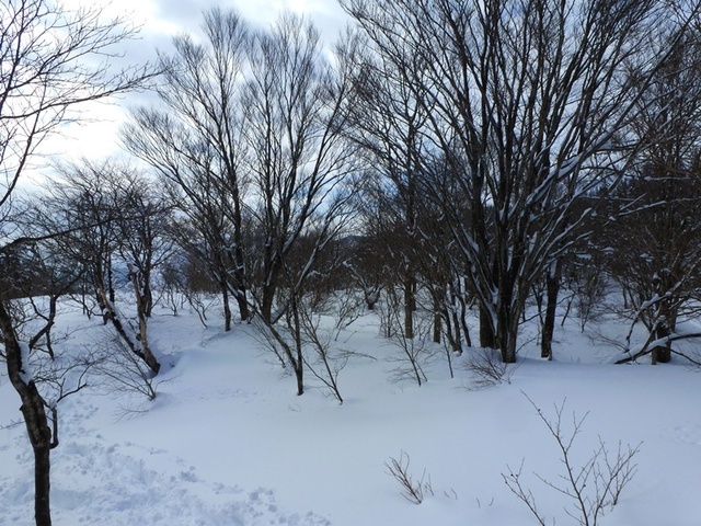 P1050470.JPG