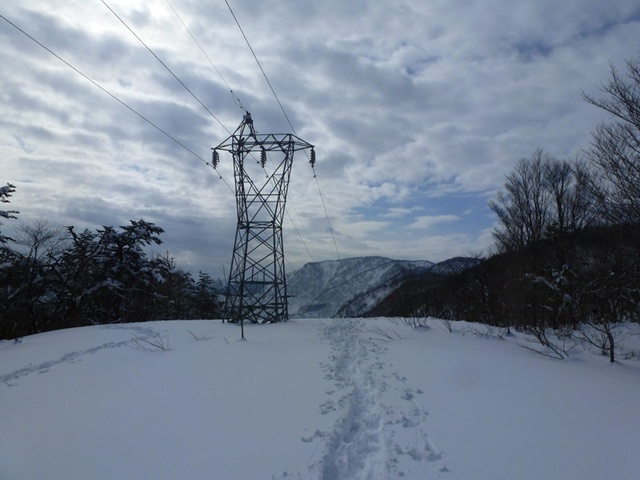 P1050471.JPG