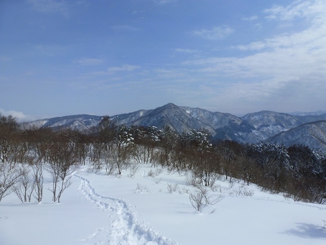 P1050475.JPG