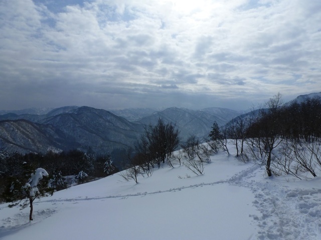 P1050476.JPG