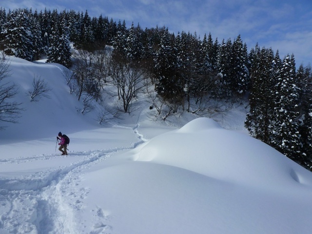 P1050477.JPG