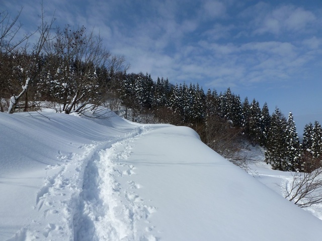 P1050480.JPG