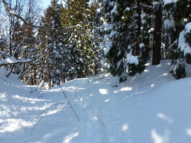 P1050487.JPG