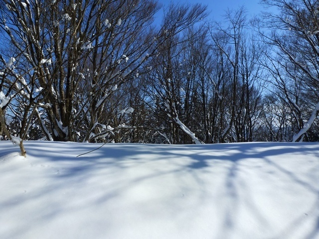 P1050488.JPG