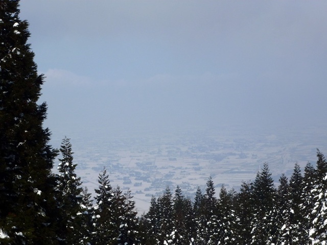 P1050494.JPG