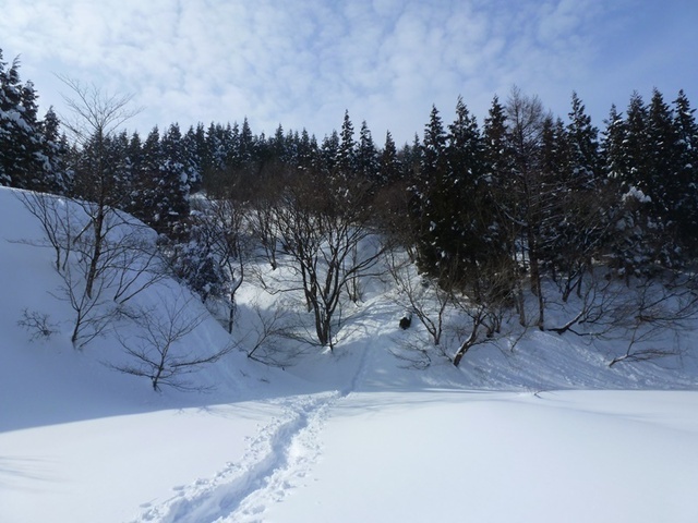 P1050496.JPG