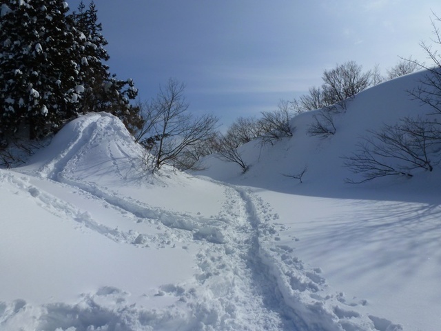 P1050497.JPG