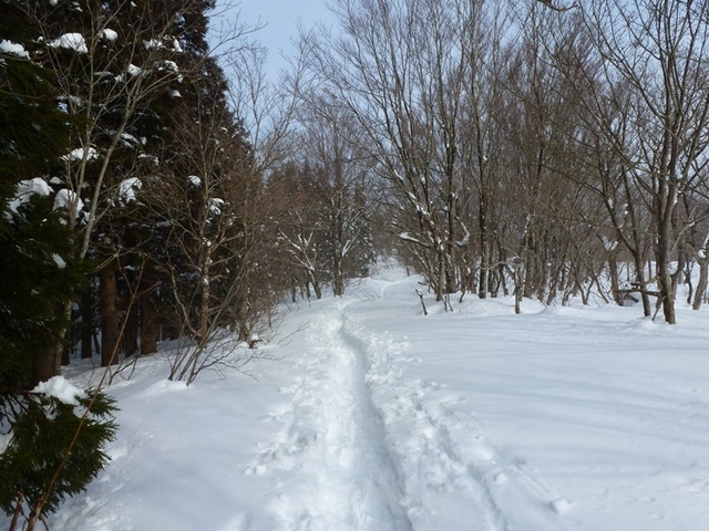 P1050503.JPG