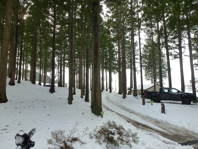 P1050514.JPG