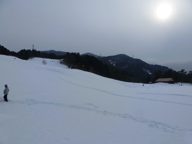 P1050515.JPG